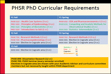 PHSR Curricular Requirements
