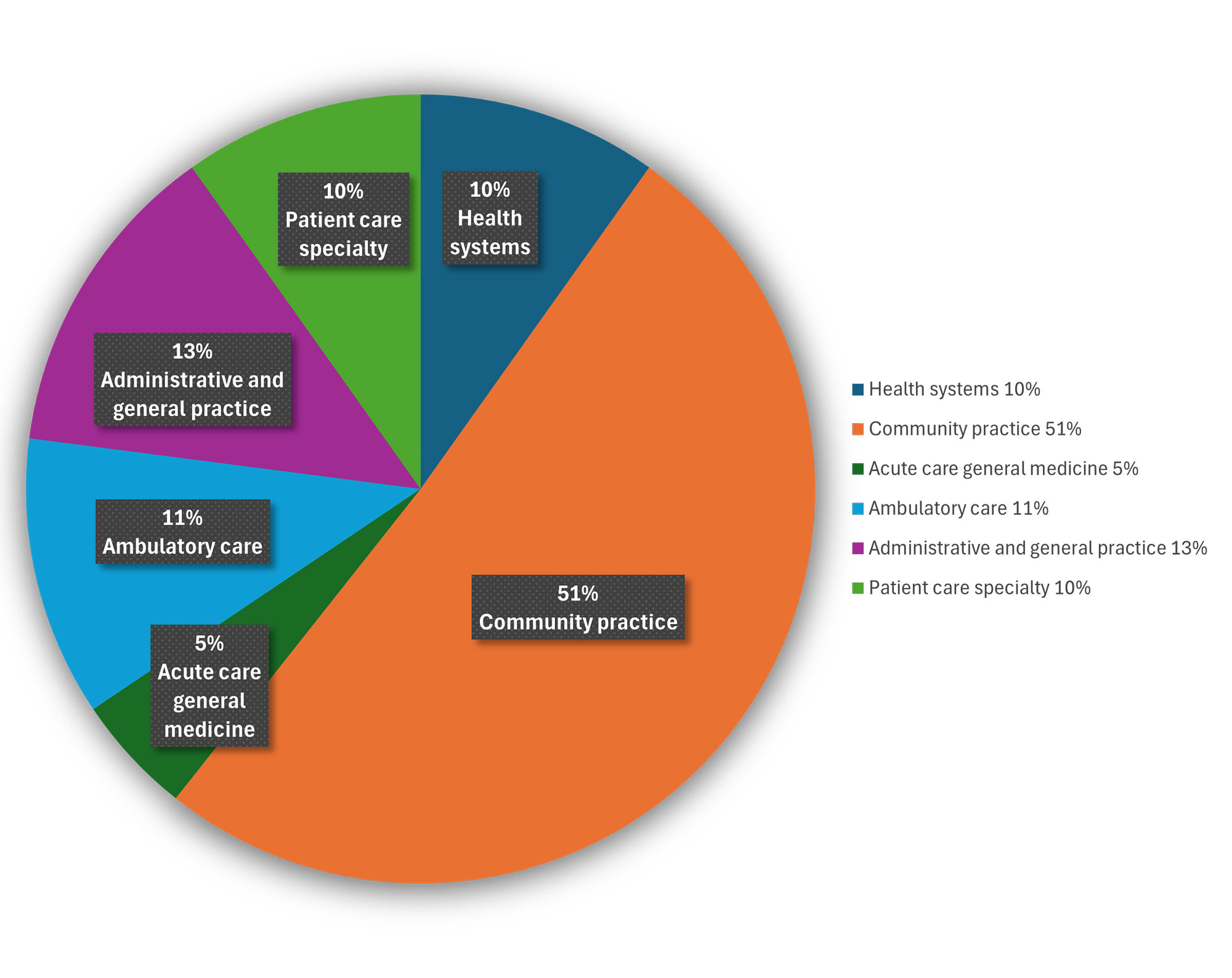 Graph of the site visit breakdown for 2024. Community practice is 51%, health systems is 14%, patient care specialty is 10%, admin and general practice is 13%, ambulatory care is 11%, and acute care general medicine is 5%.